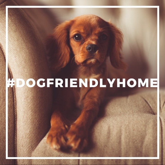 Dog friendly home - Picture 1 of 1
